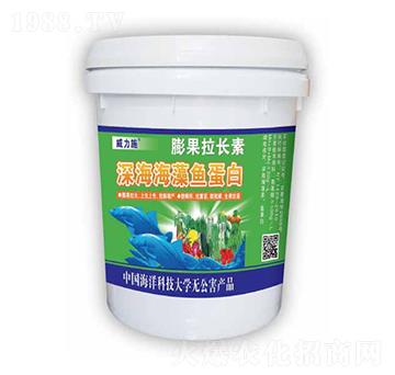 ������~����-������L��-����ʩ