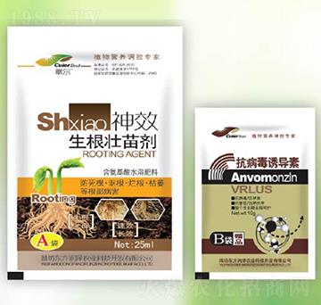 �������焩+�������T��(d��o)��-�|����(r��n)��