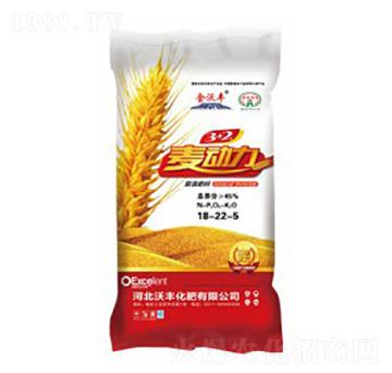 �ͻ����18-22-5-������-���S����