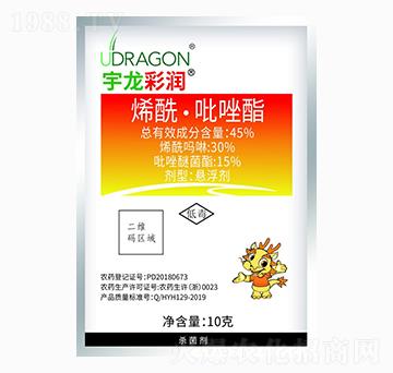 10gϩ����������-�����ʝ�-��������