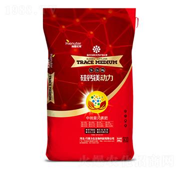 ���}�V��(d��ng)��-��������