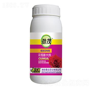 �^�p������-�������-̩�_(d��)�r(n��ng)��