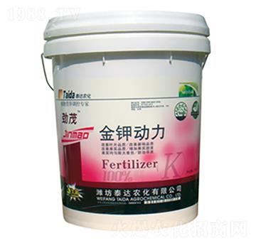 ��⛄���-̩�_(d��)�r(n��ng)��