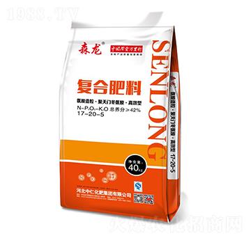 ���������������T�����ᡤ�߮a(ch��n)�͏�(f��)�Ϸ���17-20-5-ɭ��-���ʼ��F(tu��n)