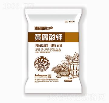 �S�����-����-�T�S�@