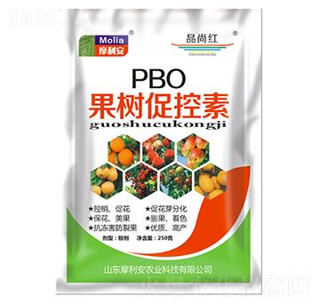 ����ٿ���-Ħ����