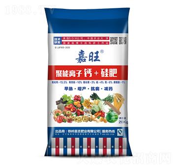 �����x���}+���-���ʢԴ