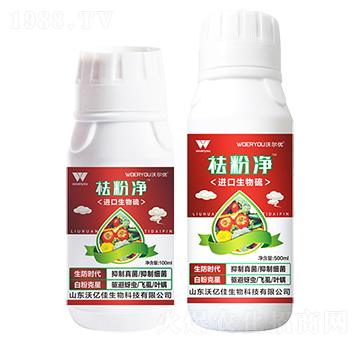 �M��������-��ۃ�-�֠���(y��u)