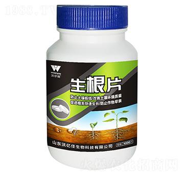 ����Ƭ-�֠���(y��u)