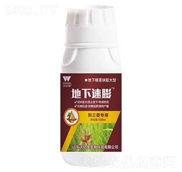 �G��������-��������-�֠���(y��u)