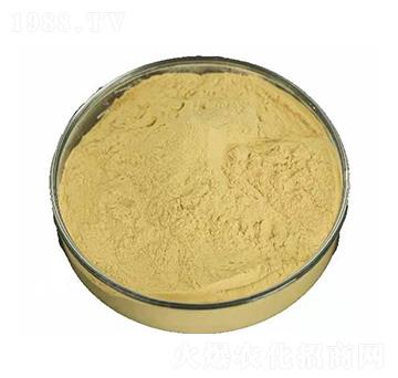 �����Ƿ�ĩ-��Ԫ���r(n��ng)