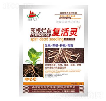 ���������(f��)���`-�h(yu��n)�|����