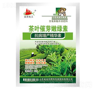 ���~��ѿ�۾G��-�h�|����