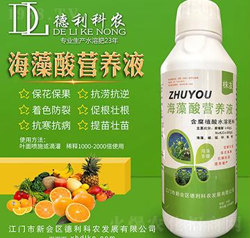 海藻酸營養(yǎng)液-德利科農(nóng)