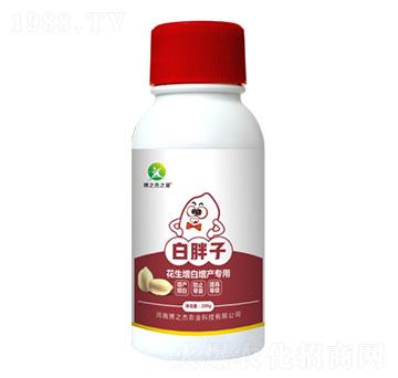 花生增白增產(chǎn)專用葉面肥-白胖子-豐收樂