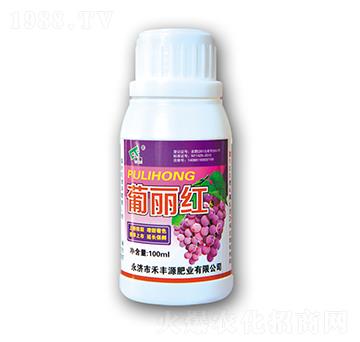 �����t-���SԴ�ʘI(y��)