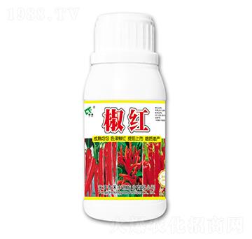 ���t�~���-���SԴ�ʘI(y��)