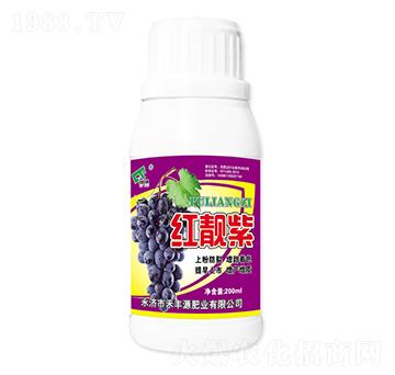 �t�n��-���SԴ�ʘI(y��)