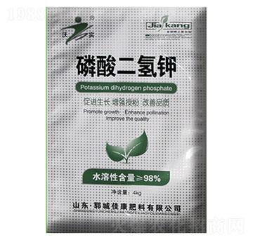 ��������-�ѿ�