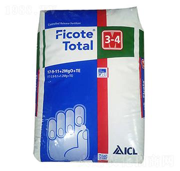 �W�G��1̖17-9-11+2MgO+TE-�����r�I(y��)