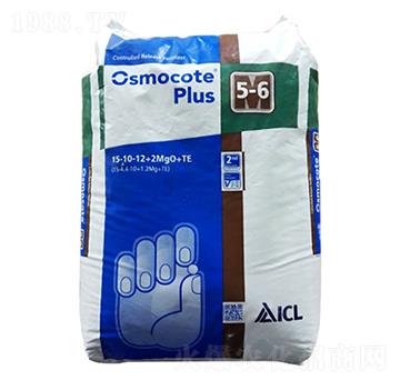 �W�G��15-10-12+TE-�����r�I(y��)