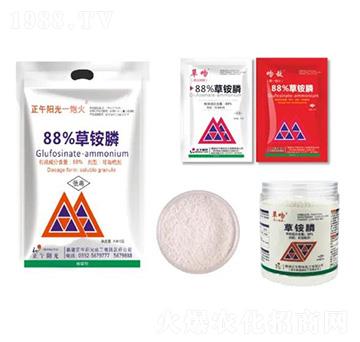 88%���@�-�����(y��ng)��һ�ڻ�