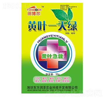 黃葉一天綠-東方潤(rùn)澤