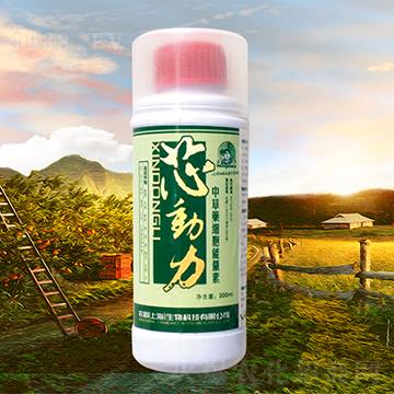 中草藥細(xì)胞能量素-芯動(dòng)力-農(nóng)爵