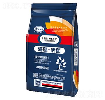 海藻·活菌微生物菌劑-植棵盛-植豐農化