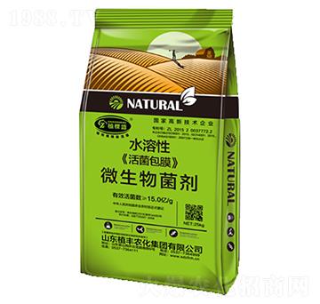 ˮ���Ի����Ĥ΢�������-ֲ��ʢ-ֲ�S�r(n��ng)��