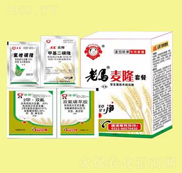 老馬麥隆套餐-惠耘農(nóng)業(yè)