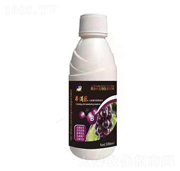 ������ɫ�����A-���M(m��n)��-���_(d��)