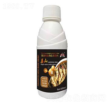 �����I(y��ng)�B(y��ng)����A-��ɽ-���_(d��)