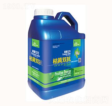 ���S�p��-���λ���