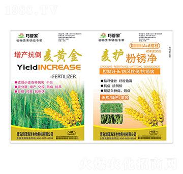 增產(chǎn)抗倒麥黃金+麥護(hù)粉銹凈-巧管家-潤(rùn)澤