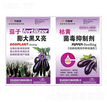 茄子膨大黑又亮+枯黃菌毒抑制劑-巧管家-潤澤