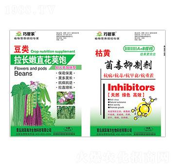 豆類(lèi)拉長(zhǎng)嫩直花莢飽+枯黃菌毒抑制劑-巧管家-潤(rùn)澤
