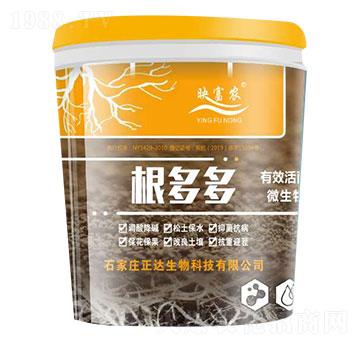 �����-ӳ���r(n��ng)-���_����