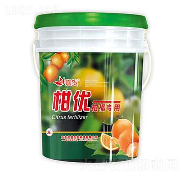 ���ٌ���-�̃�(y��u)-ؐ������