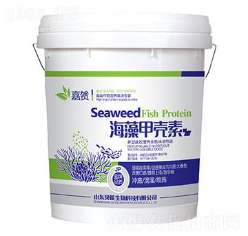 ����ך���-ؐ������