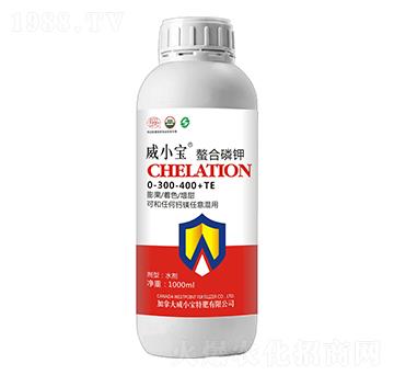 �������-��С��-��巉�