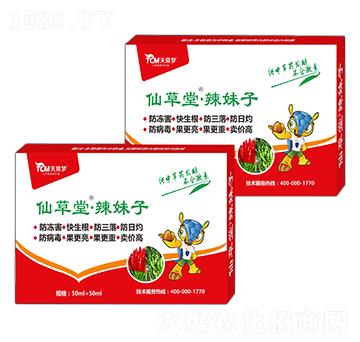 辣妹子-仙草堂-天宸夢(mèng)