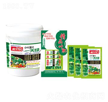 小葉黃葉一片綠 植生堂 萊利生物