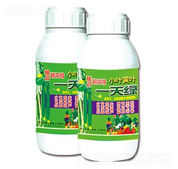 小葉黃葉一天綠 萊利生物