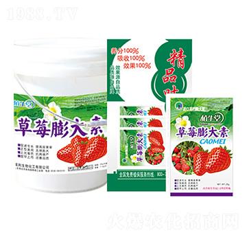 草莓膨大素 植生堂 萊利生物