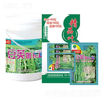 豆莢嫩長(zhǎng)直 植生堂 萊利生物