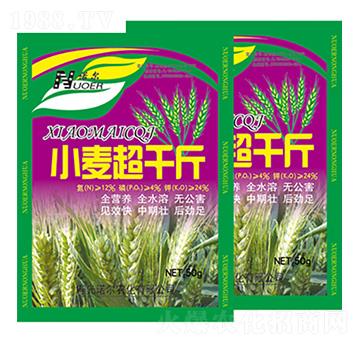 小麥超千斤 萊利生物