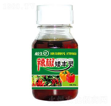 辣椒矮豐靈 萊利生物