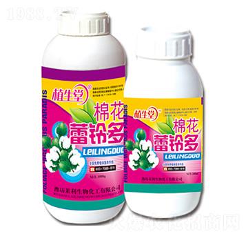 棉花蕾鈴多 植生堂 萊利生物