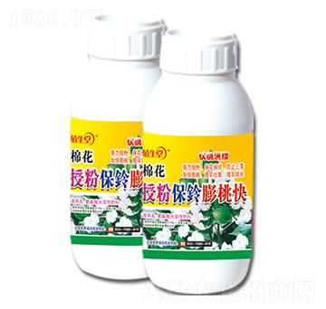 棉花授粉保鈴膨桃快 植生堂 萊利生物